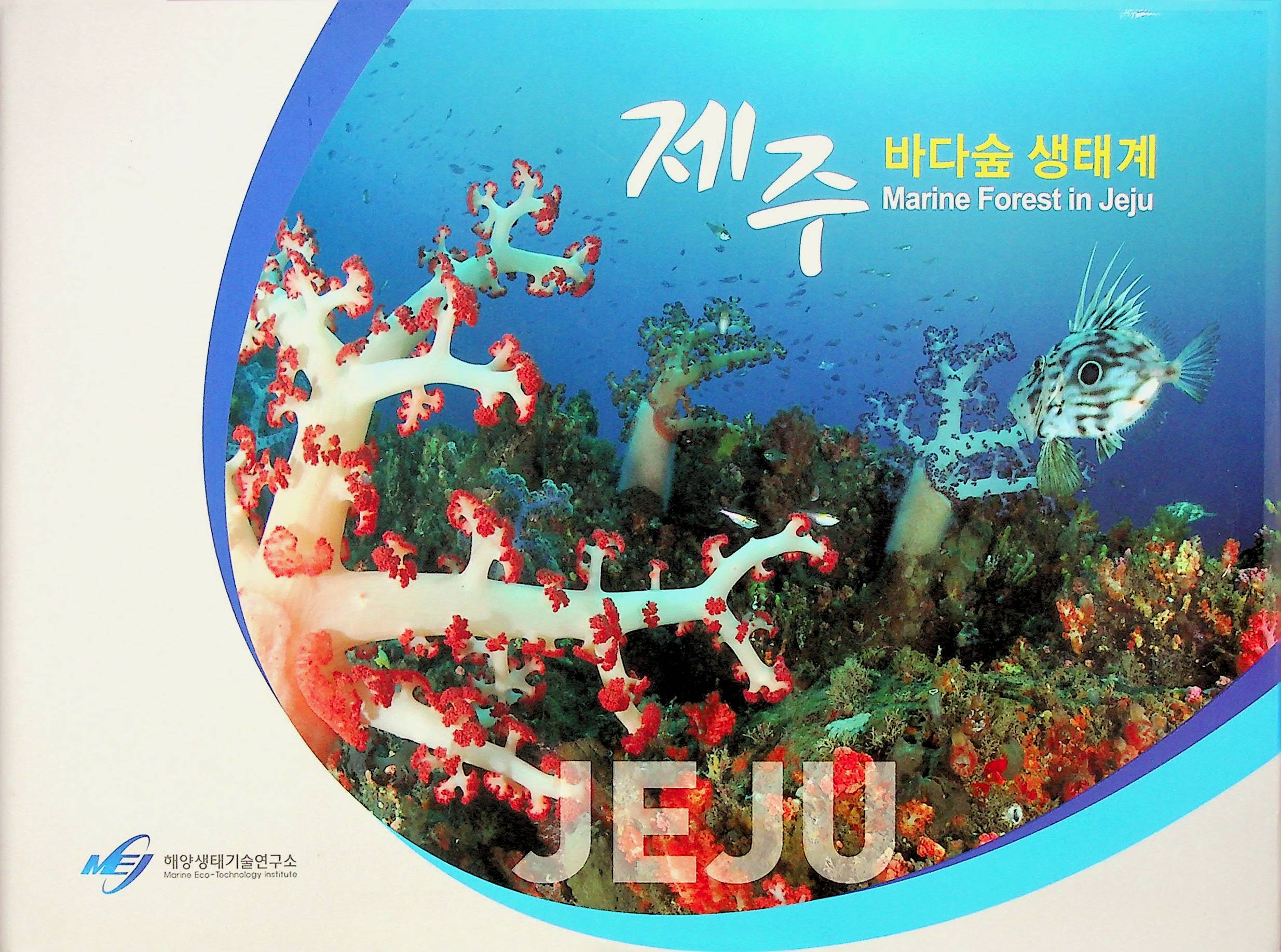 2017.12 제주 바다숲 생태계 1.jpg