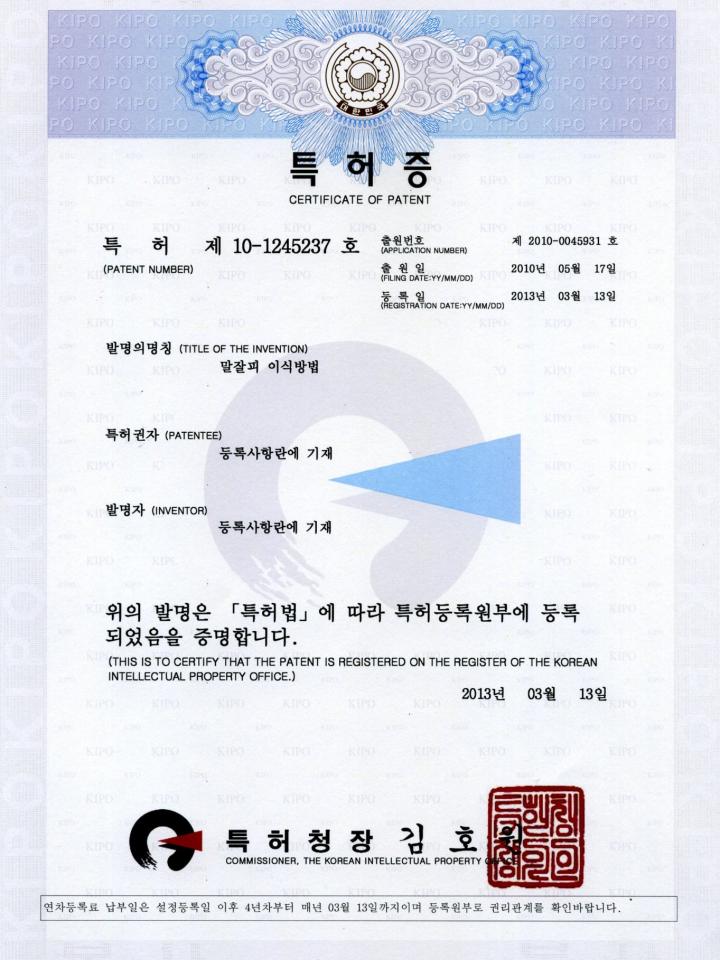 말잘피 이식방법
