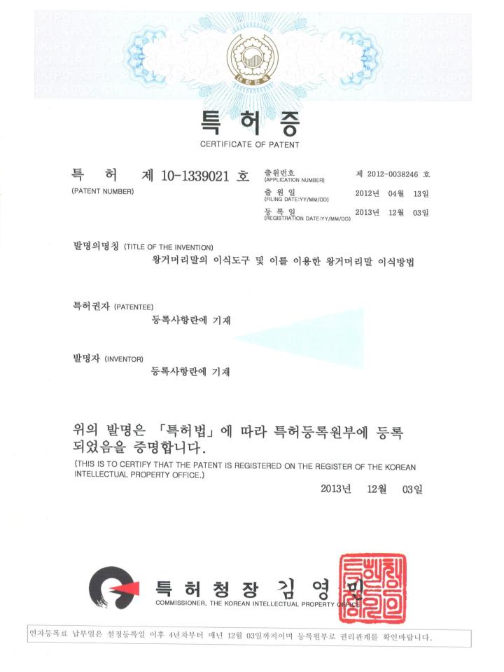 왕거머리말의 이식도구