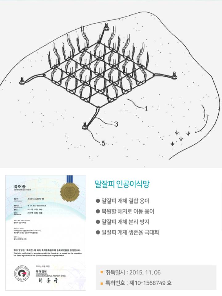 말잘피 인공이식망