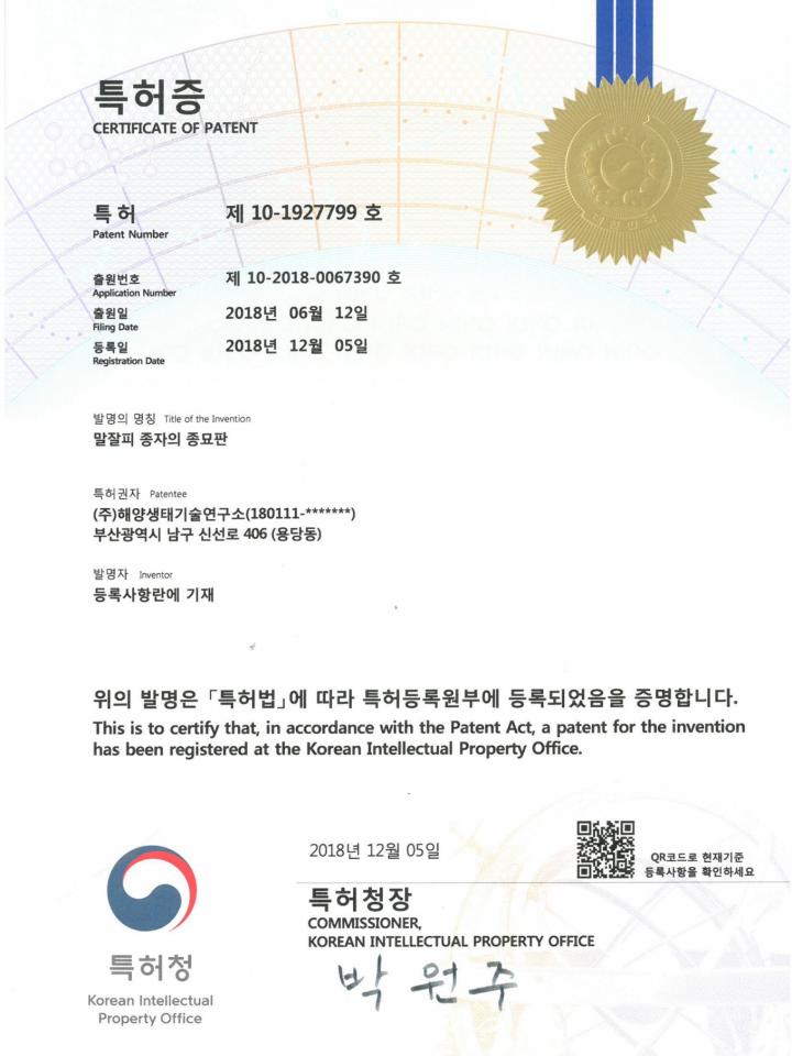 말잘피 종자의 종묘판